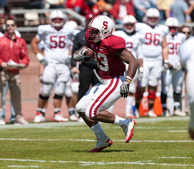 2011CardinalWhite-048.JPG