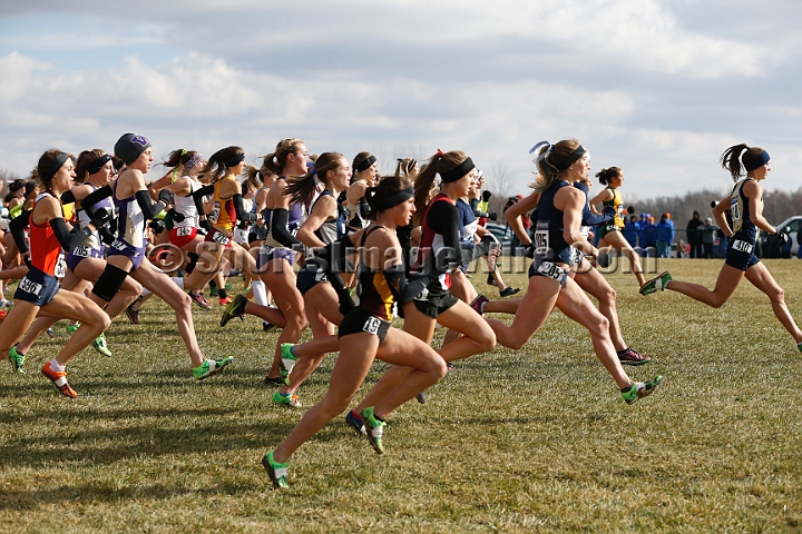 2013-NCAA-136.JPG - Nov 23, 2013; Terre Haute, IN, USA; NCAA cross country championships at LaVern Cross Country course, Terre Haute, IN.