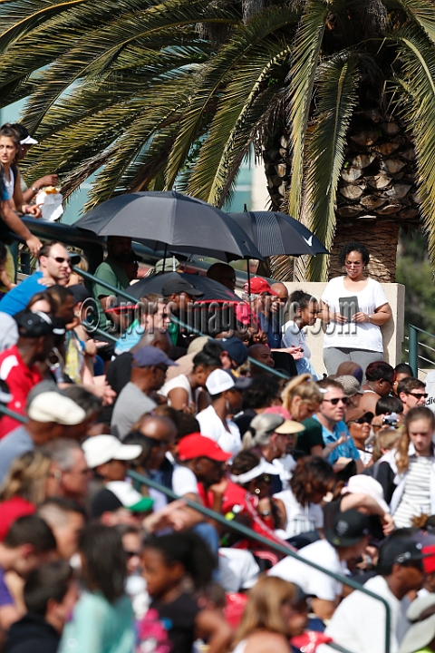 2013SISatColl-0575.JPG - 2013 Stanford Invitational, March 29-30, Cobb Track and Angell Field, Stanford,CA.
